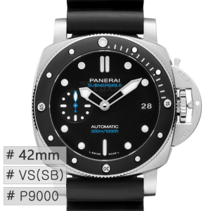 VS P9000 42mm Submersible PAM00683